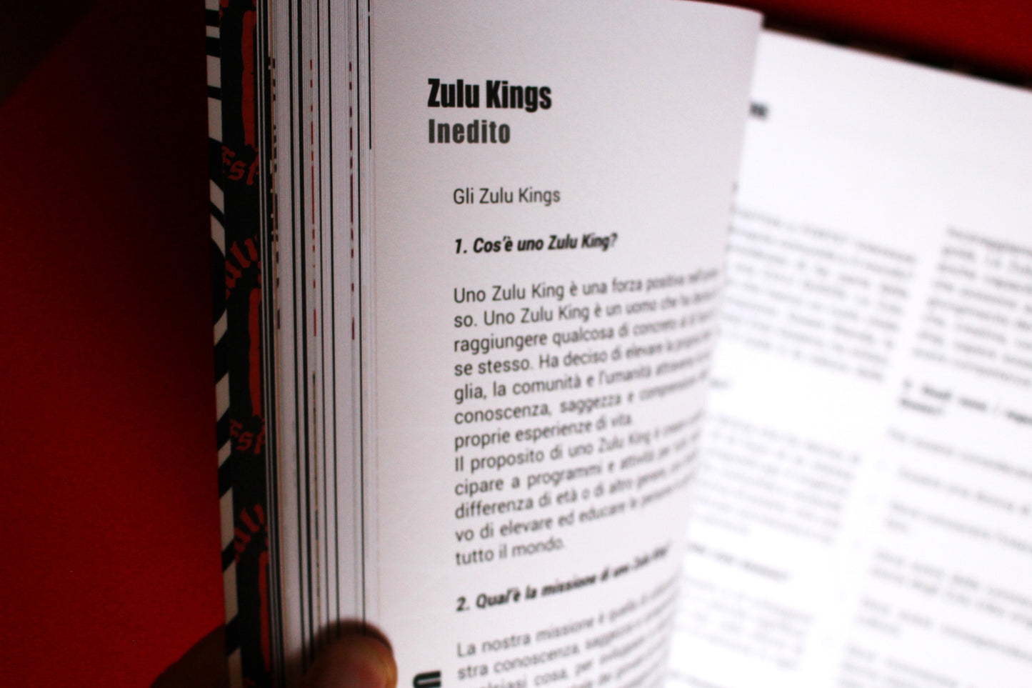 Book "ZULU NATION ITALIA WORKS AND KNOWLEDGE"