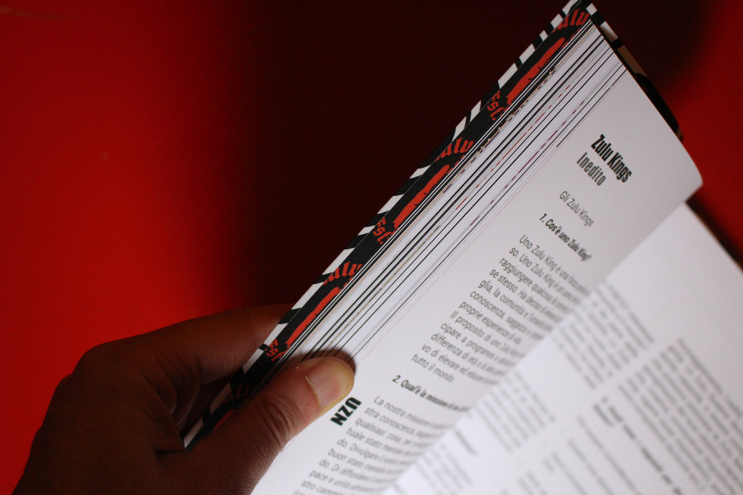 Book "ZULU NATION ITALIA WORKS AND KNOWLEDGE"